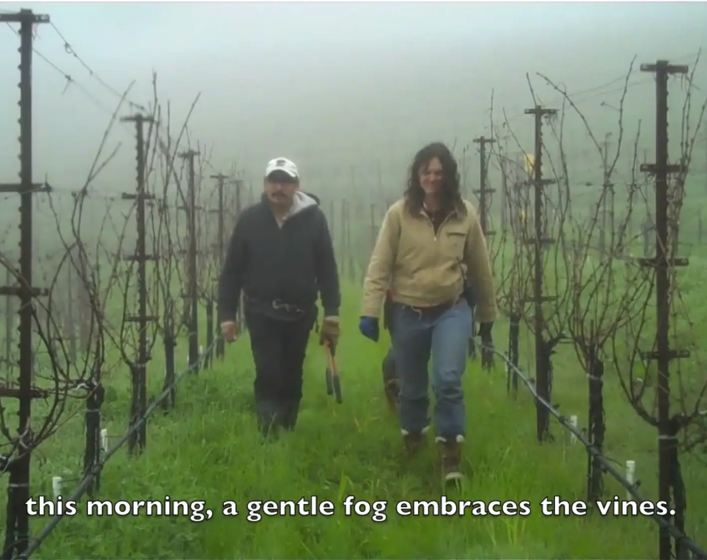 Cain Video: Pruning in the Vineyard