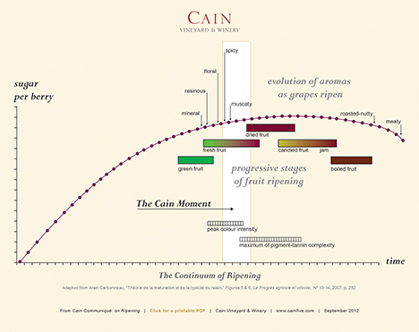 The Question of Ripeness chart by Cain in Aspen Daily News