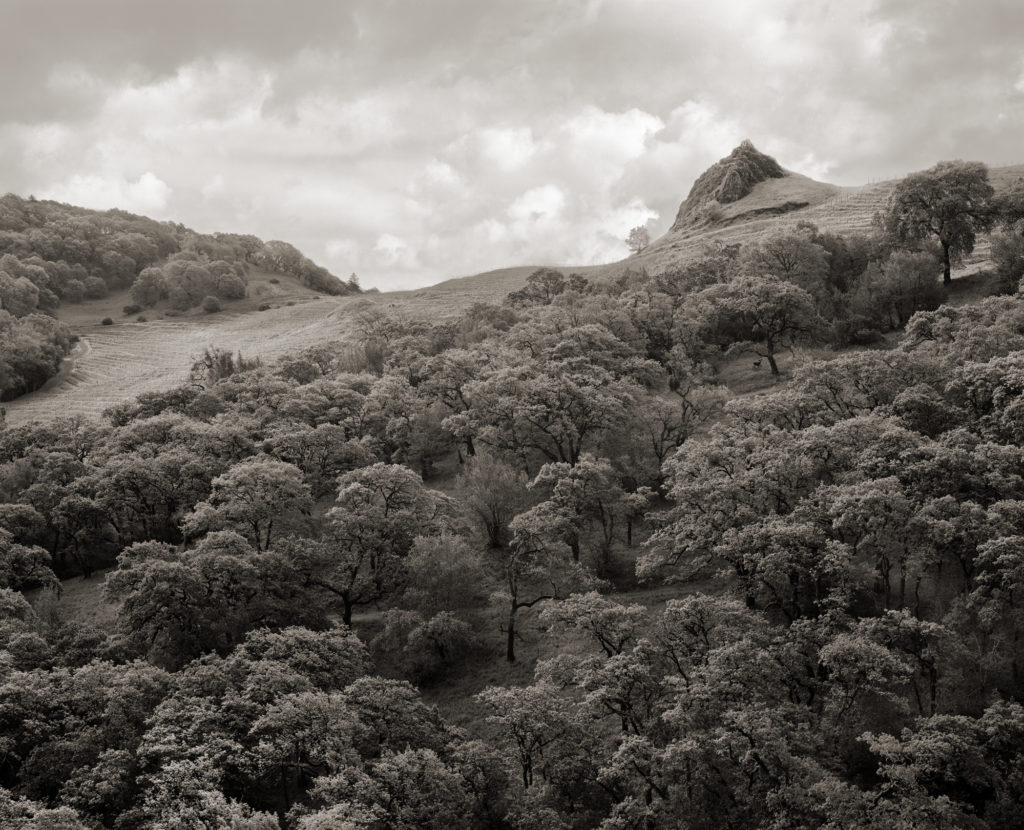 Spring: Clearing rain clouds reveal La Piedra and a deer in the meadow below.