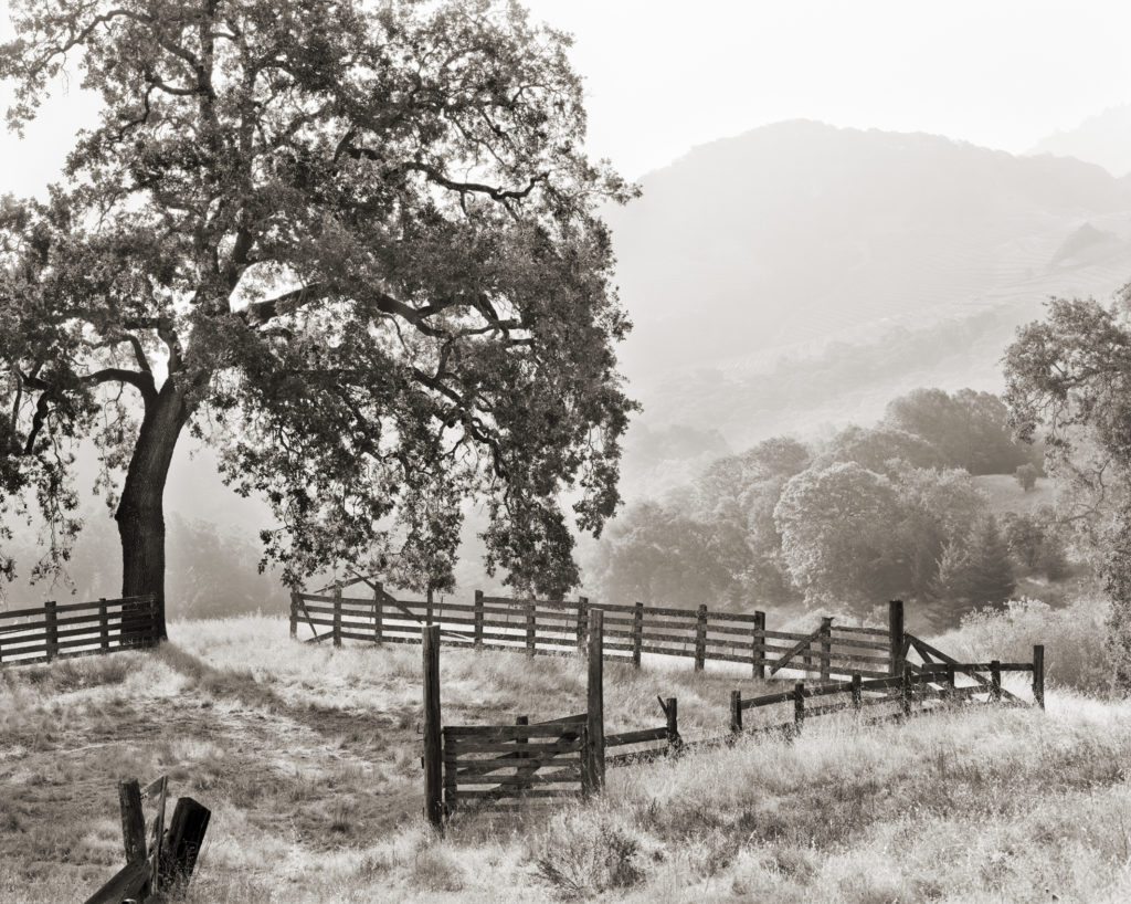 For over a hundred years this corral received sheep.
