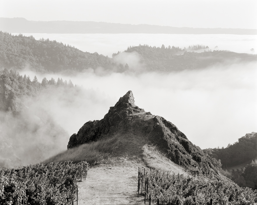 Fog rises around La Piedra, a promontory in the Cain Vineyard. Photograph by Olaf Beckmann