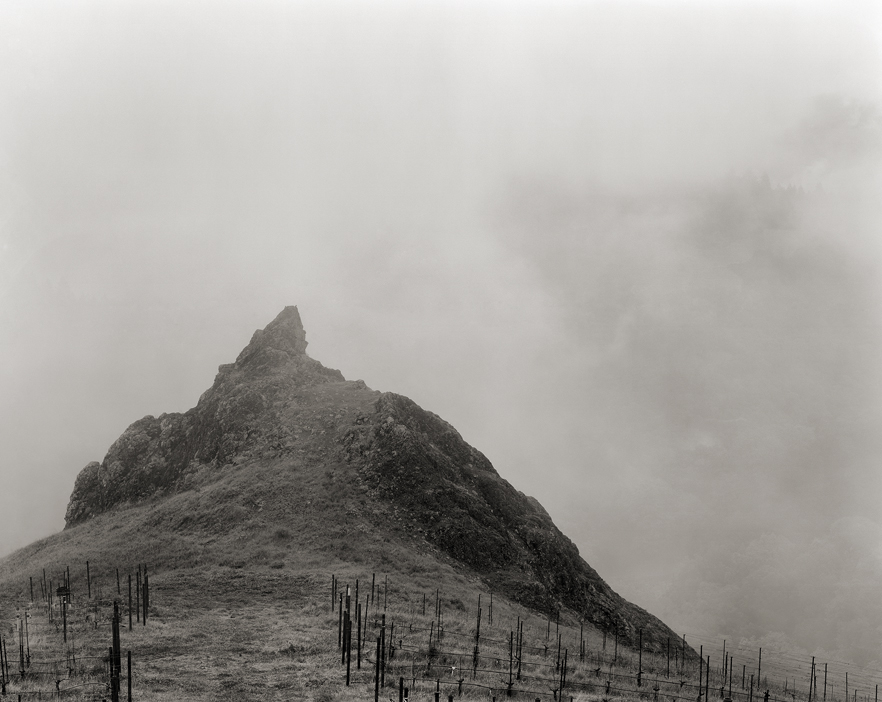 La Piedra, a promontory in the Cain Vineyard, in fog. Photograph by Olaf Beckmann