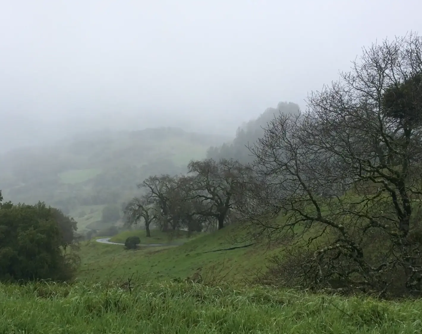 Cain Video: Rain on Spring Mountain