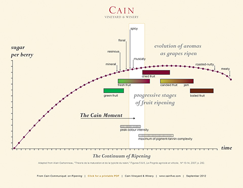 The Question of Ripeness chart by Cain in Aspen Daily News