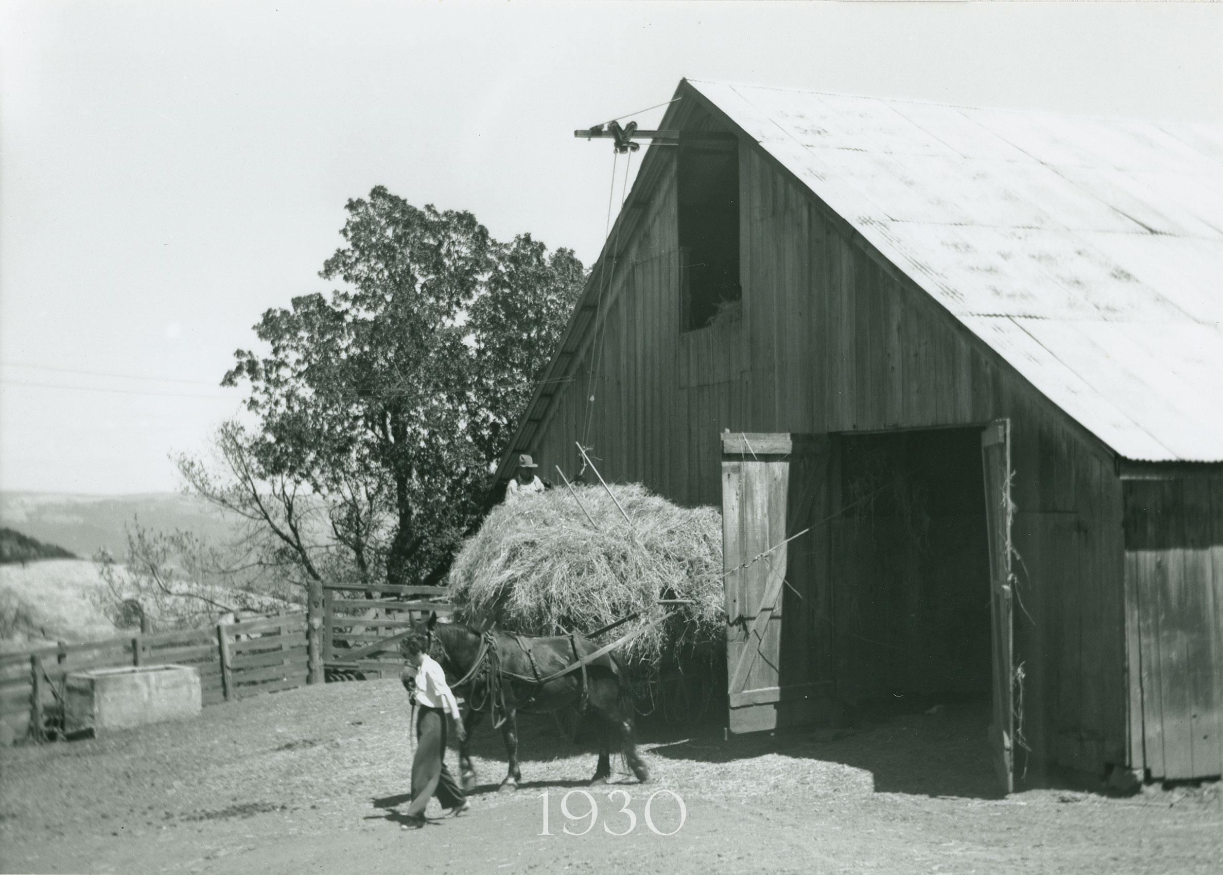 History of Cain: the barn in action in 1930