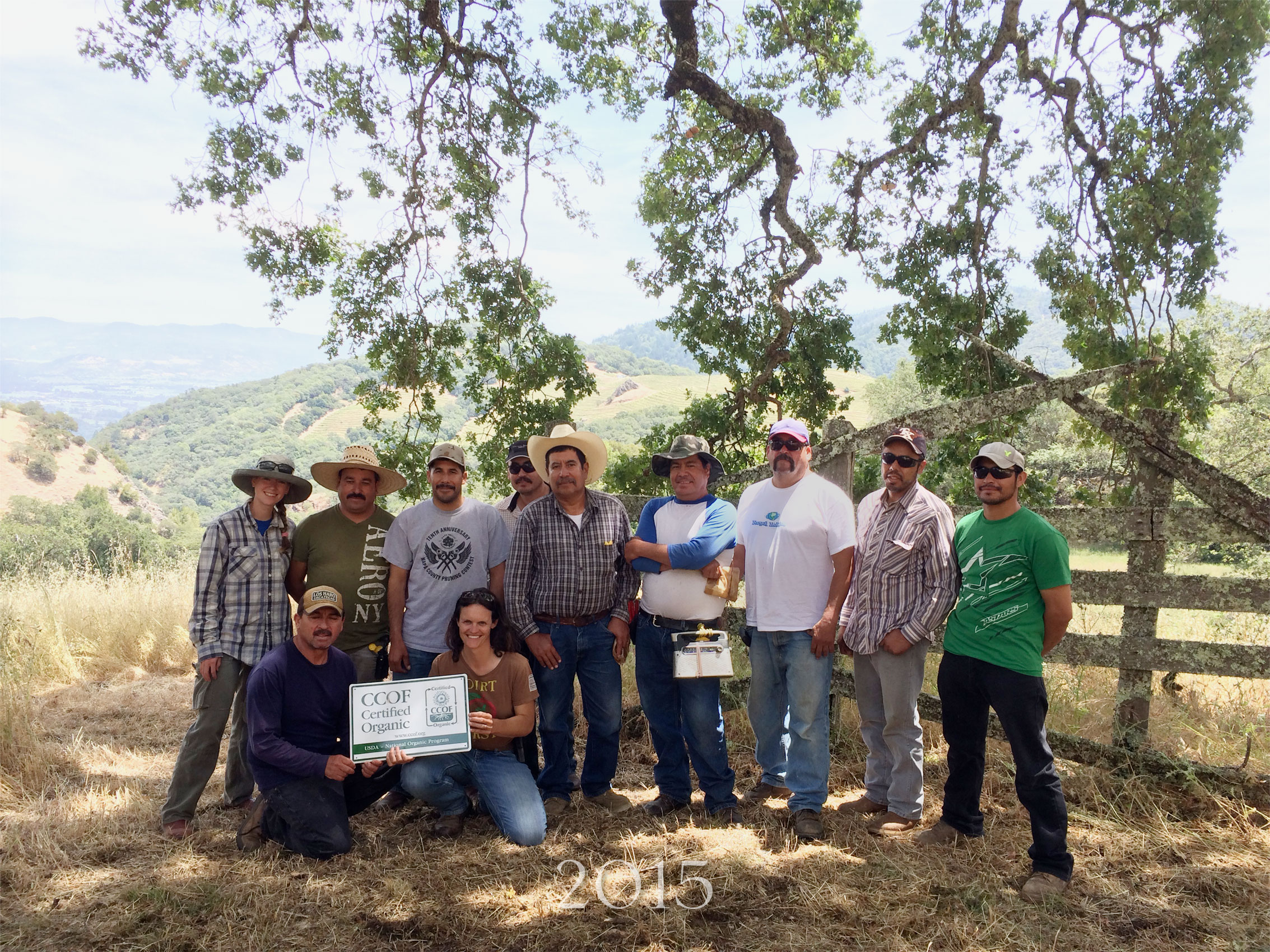 In 2015 the Cain Vineyard was certified organic by the CCOF