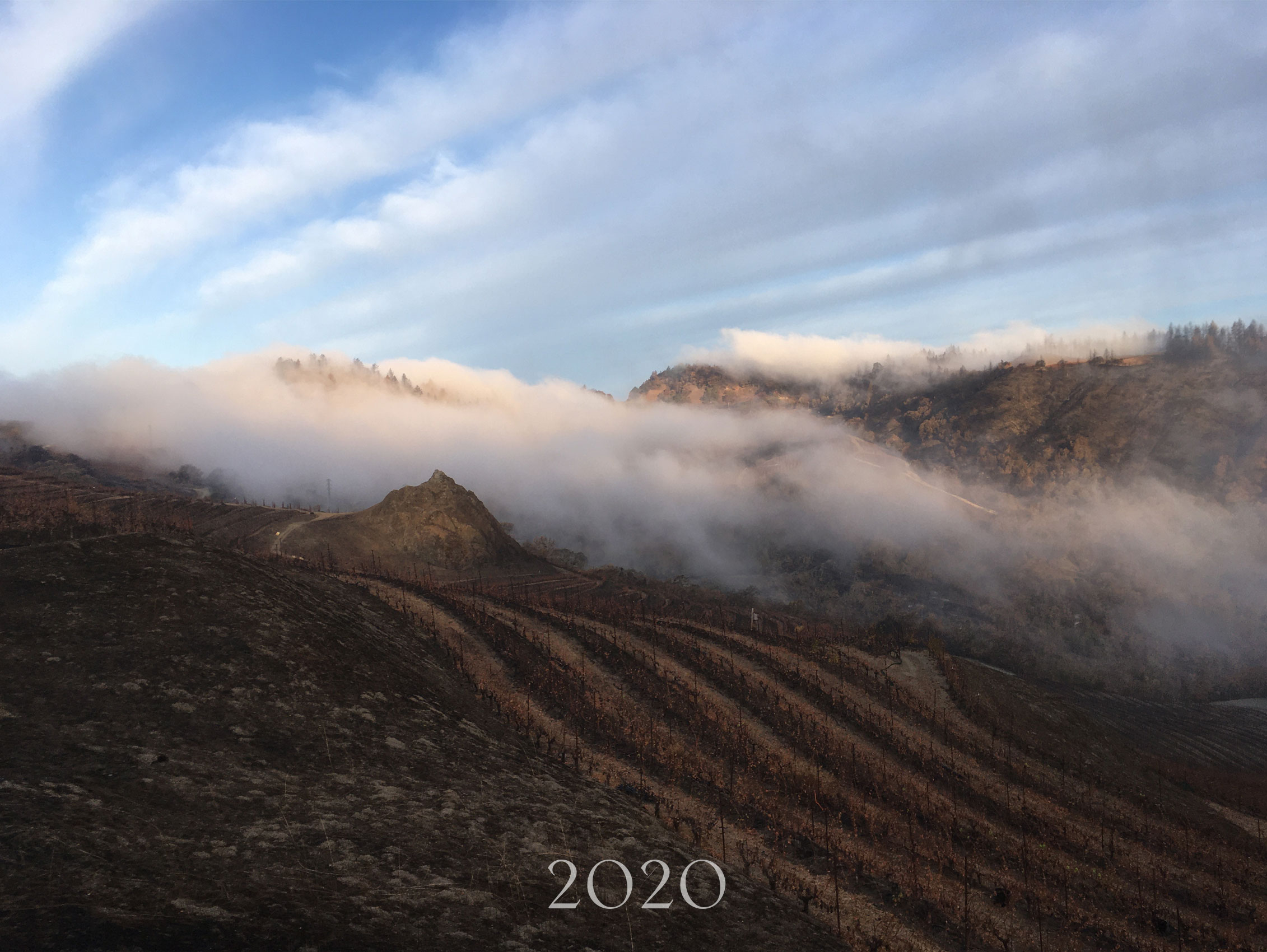 La Piedra and what was left of the vineyard after the 2020 Glass Fire