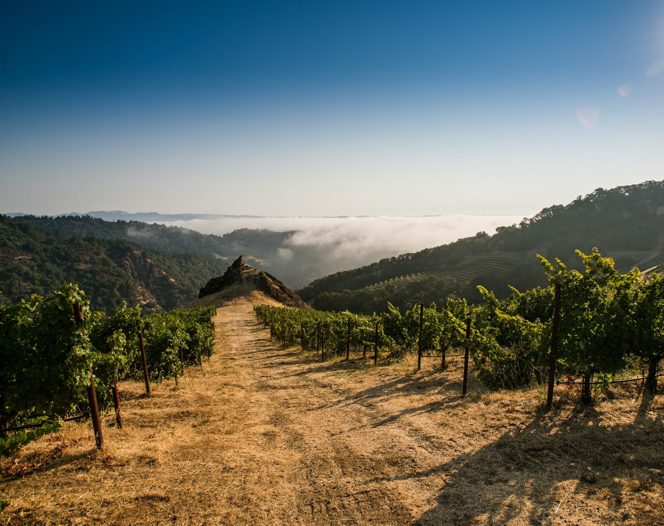 "Chris Howell & Cain Vineyard: Making Wines that Matter," Huffington Post