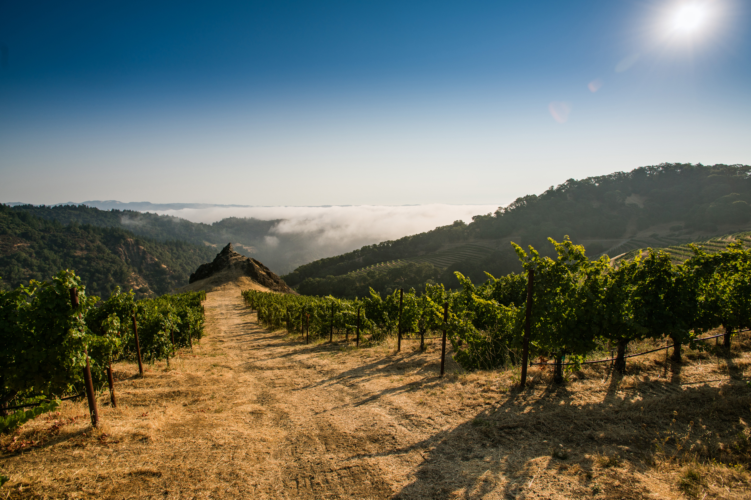 "Chris Howell & Cain Vineyard: Making Wines that Matter," Huffington Post