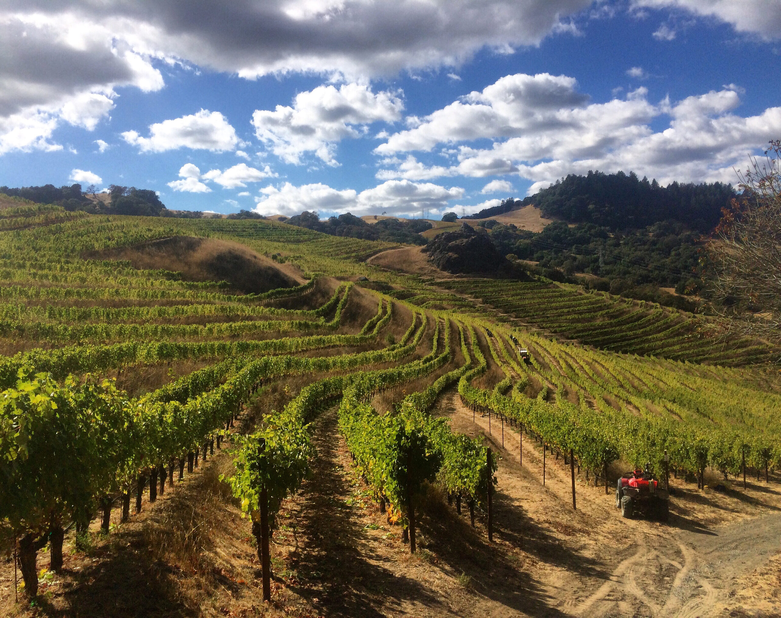 The rock at Cain Vineyard