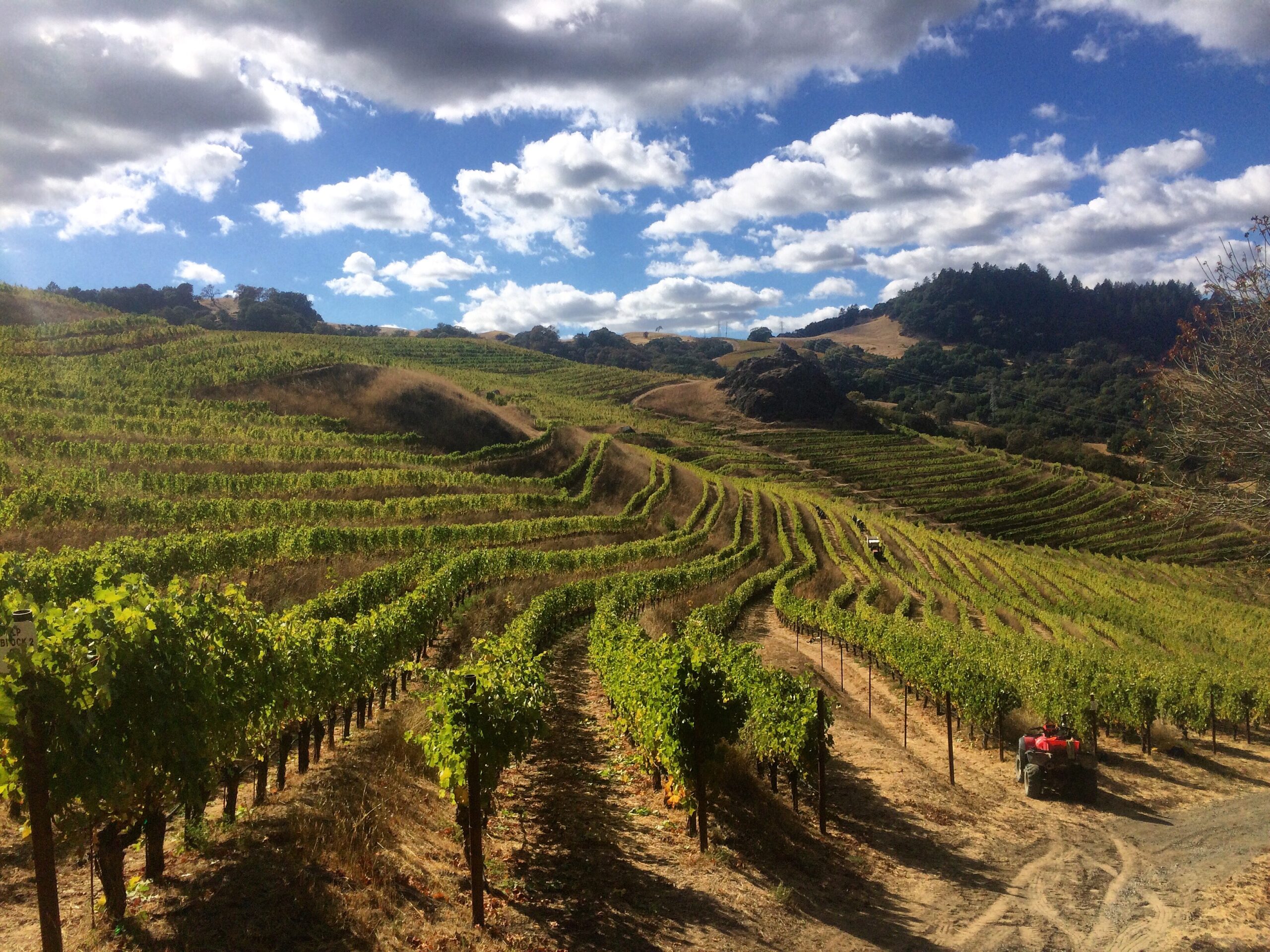 The rock at Cain Vineyard