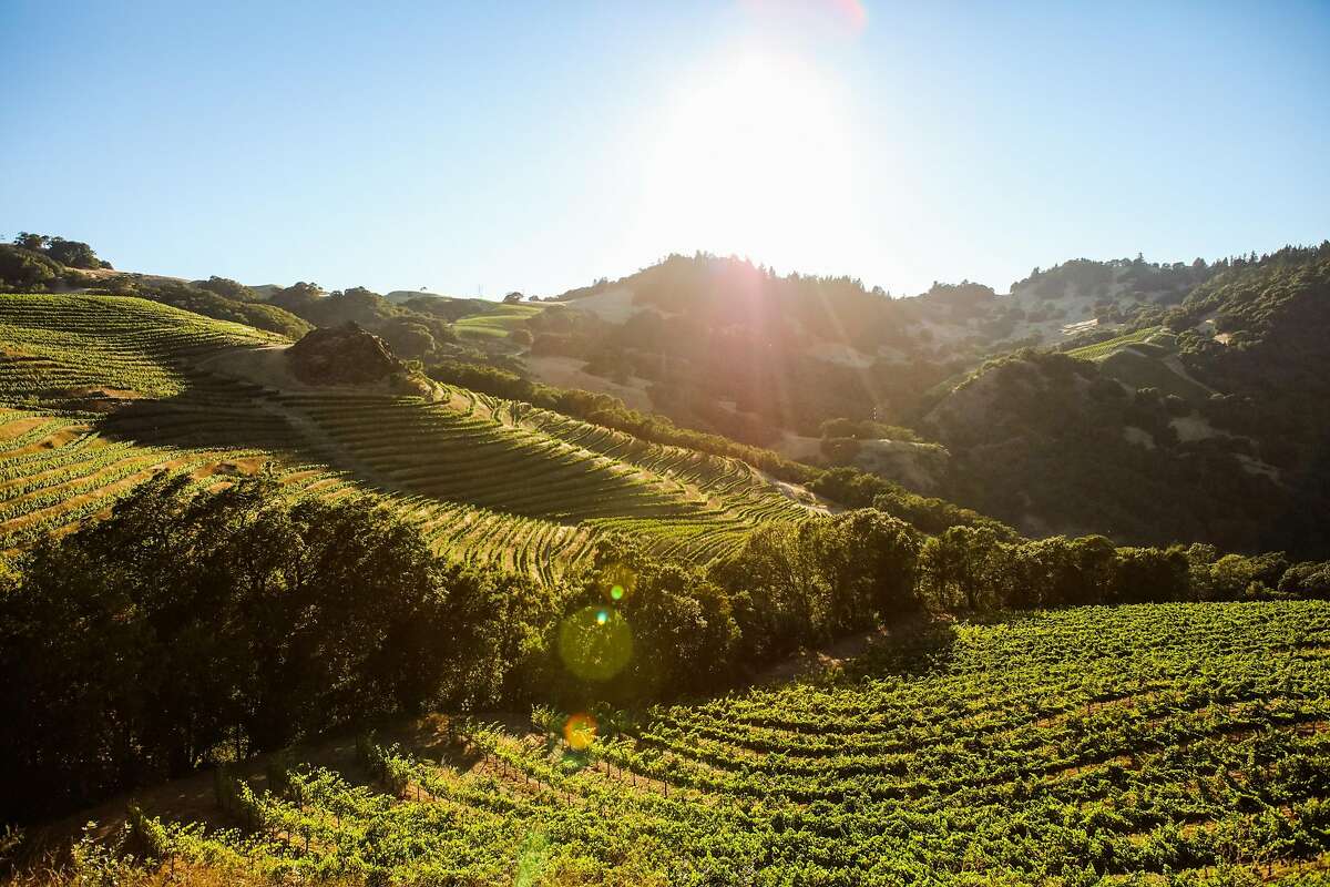 Vineyards at Cain Winery, San Francisco Chronicle