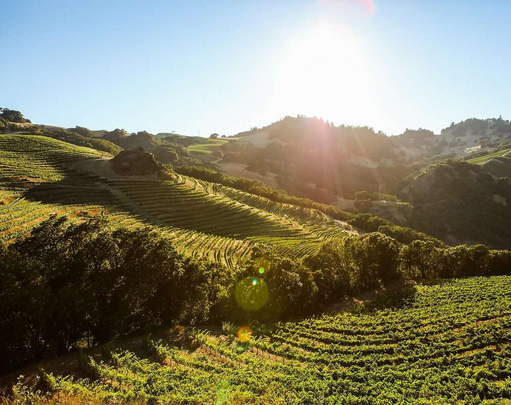 Vineyards at Cain Winery, San Francisco Chronicle