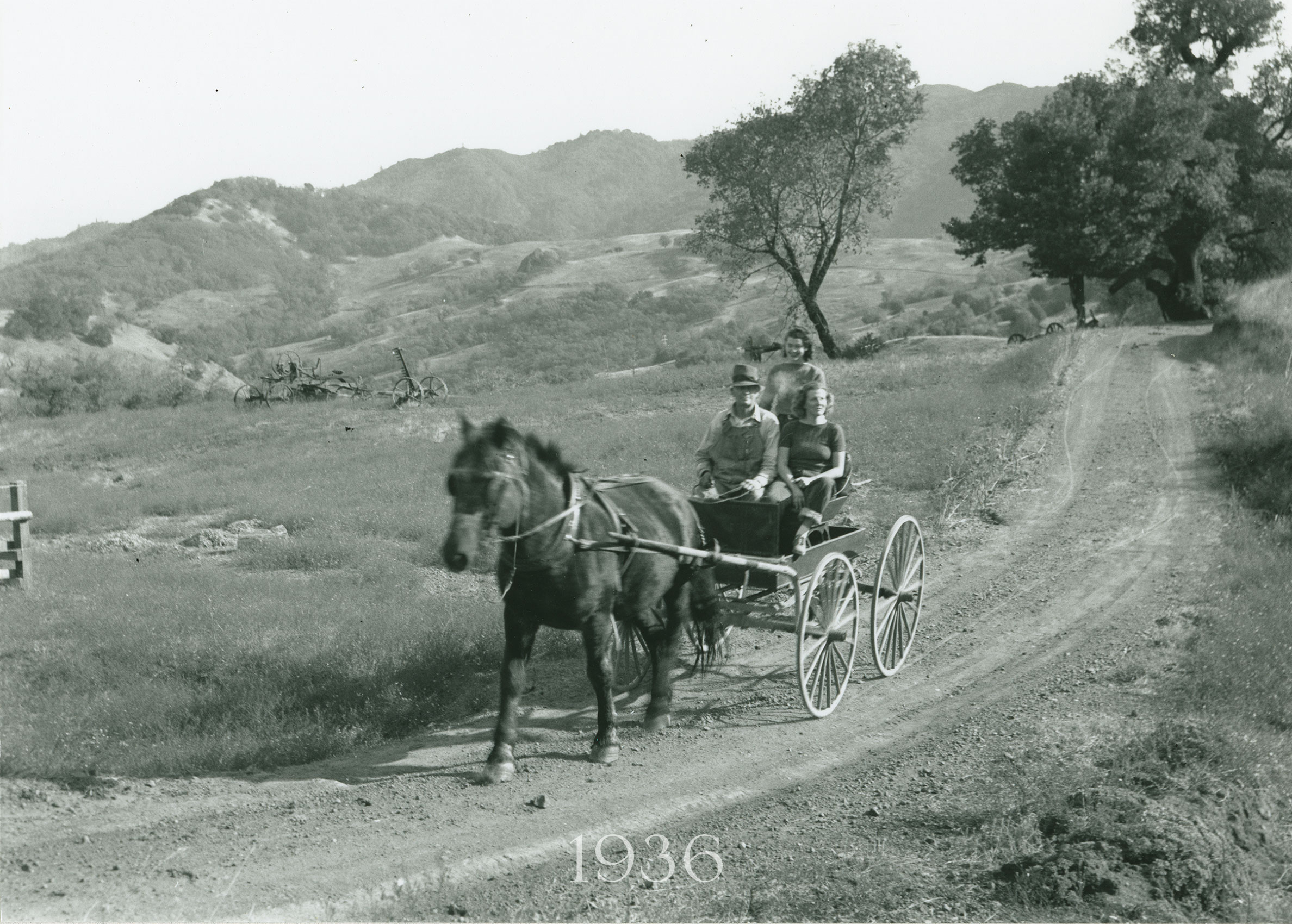 Babe, standing behind her dad, John McCormick, with friend, c.1936. La Piedra, heart of today’s Cain Vineyard, thrusts out of the hillside in the background