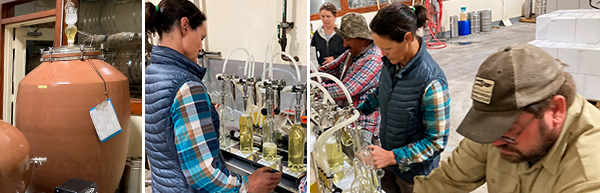 The Cain team bottling the One-Time-Only White Wine, Spring 2023