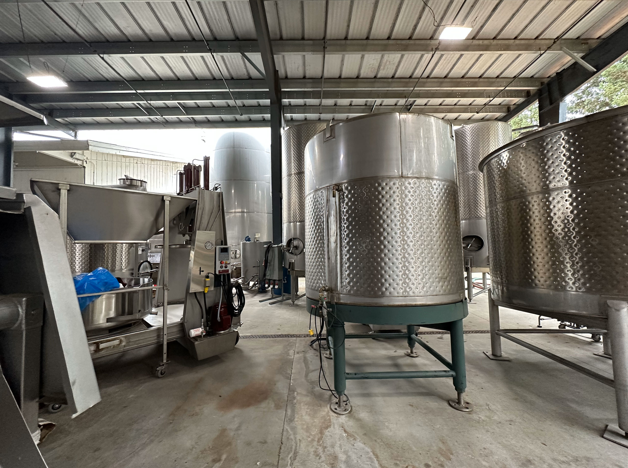 Cain Vineyard: Ready for harvest