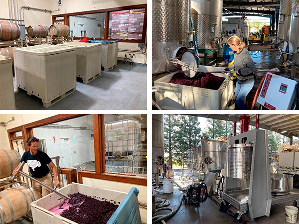 Vinification at the Cain Winery, 2022