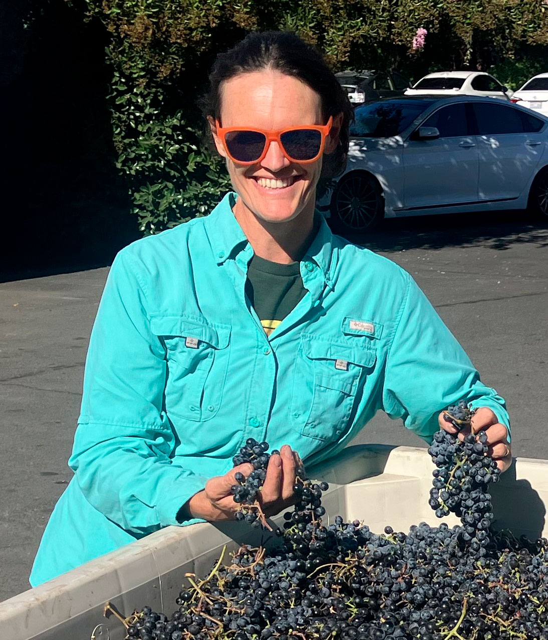 Cain Harvest 2024: Ashley Bennett with her just-harvested Petit Verdot