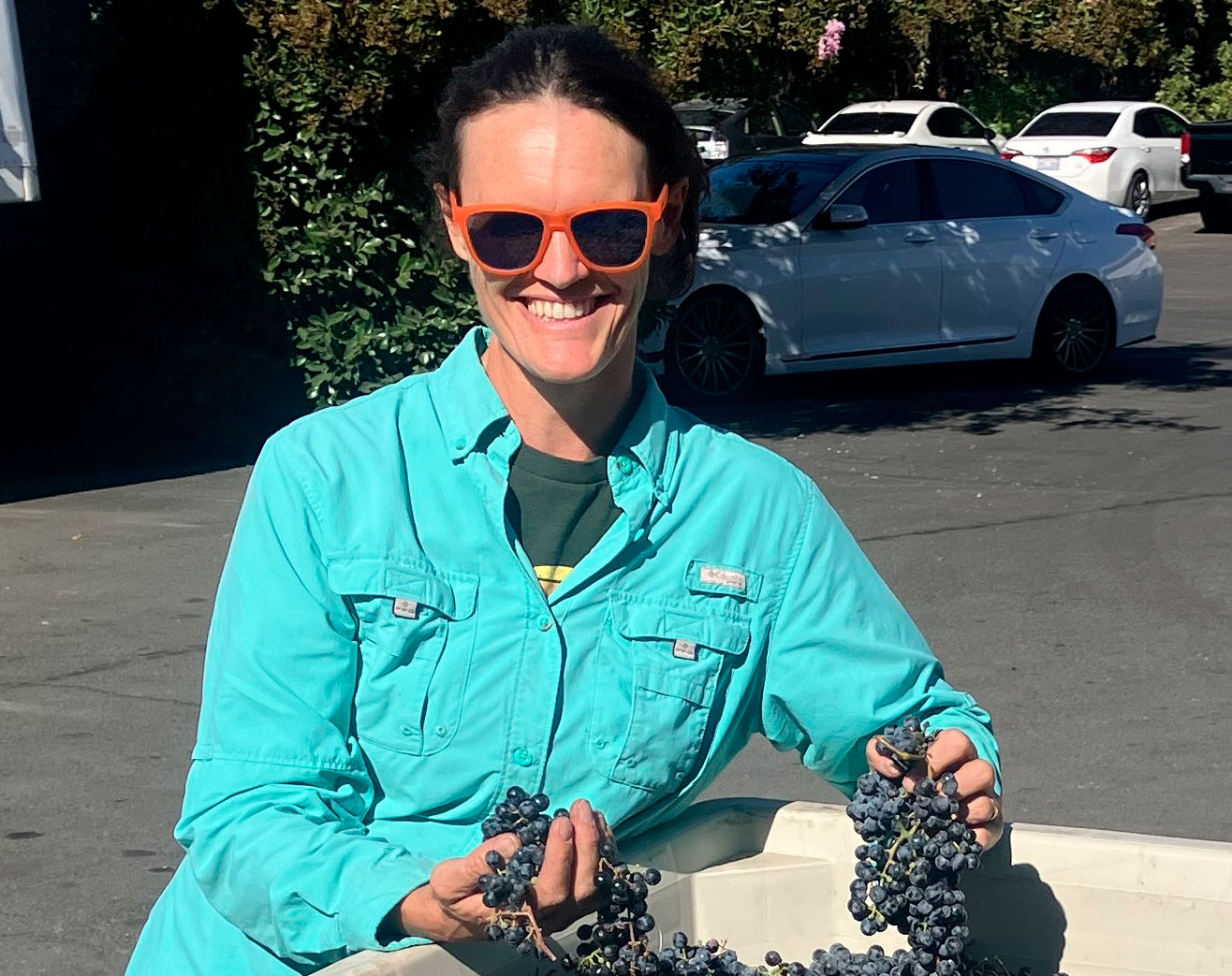 Cain Harvest 2024: Ashley Bennett with her just-harvested Petit Verdot