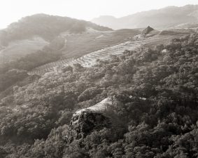 The north-facing slope below La Piedra yields the defining Cabernet Sauvignon which forms the core of the Cain Five.